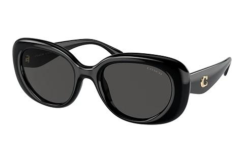 Sonnenbrille Coach CR609 (HC8391U 500287)