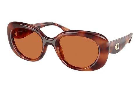 Sonnenbrille Coach CR609 (HC8391U 577473)