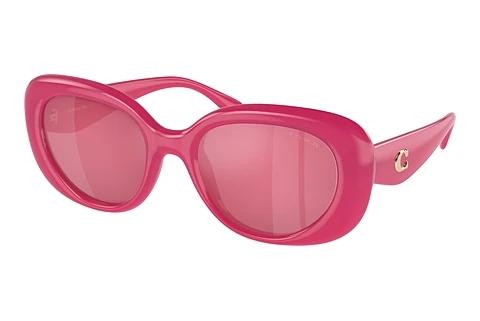 Sonnenbrille Coach CR609 (HC8391U 58069L)