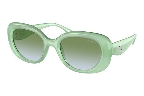 Sonnenbrille Coach CR609 (HC8391U 5807I7)