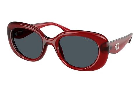 Sonnenbrille Coach CR609 (HC8391U 586287)
