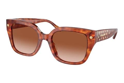 Sonnenbrille Coach CR611 (HC8392U 577413)
