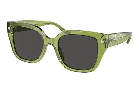 Sonnenbrille Coach CR611 (HC8392U 581087)