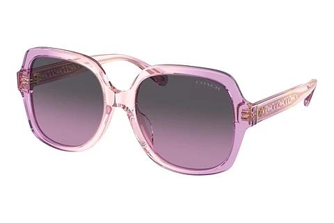 Sonnenbrille Coach CR614 (HC8395U 581390)