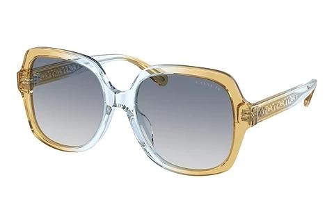 Sonnenbrille Coach CR614 (HC8395U 581435)