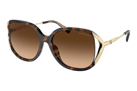 Sonnenbrille Coach CR620 (HC8396U 512074)
