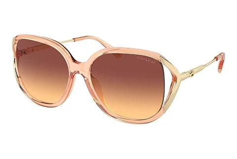 Sonnenbrille Coach CR620 (HC8396U 556178)