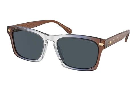 Sonnenbrille Coach CR628 (HC8397U 581587)
