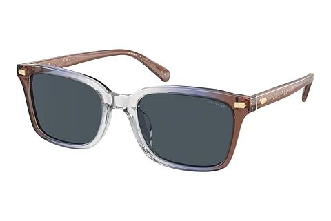 Sonnenbrille Coach CR630 (HC8398U 581587)