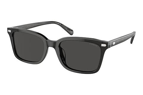 Sonnenbrille Coach CR630 (HC8398U 581787)