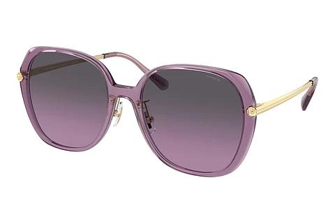 Sonnenbrille Coach CR636 (HC8403D 582590)
