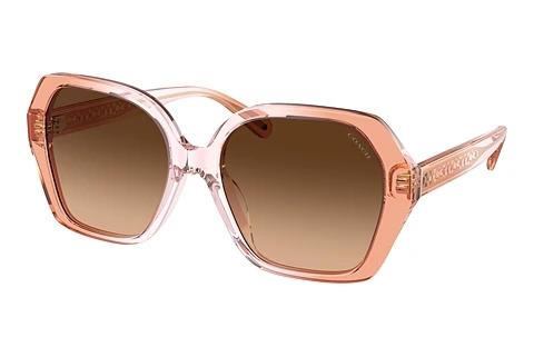 Sonnenbrille Coach CR615 (HC8404U 581274)