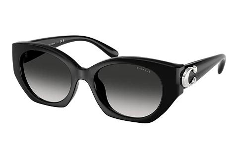 Sonnenbrille Coach CW194 (HC8407U 50023C)