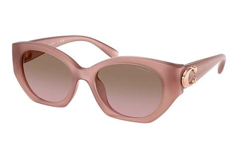 Sonnenbrille Coach CW194 (HC8407U 583914)