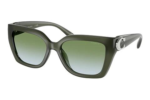 Sonnenbrille Coach CW195 (HC8408U 584017)