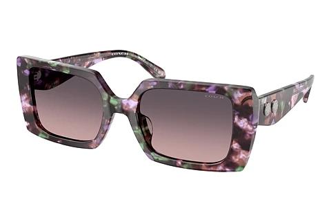 Sonnenbrille Coach CW224 (HC8409U 584346)