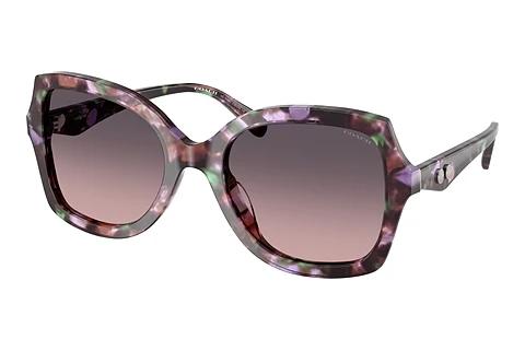 Sonnenbrille Coach CW225 (HC8410U 584346)