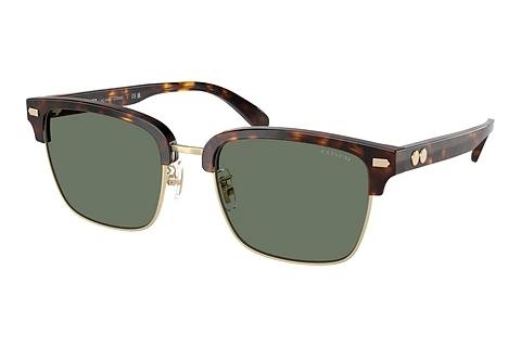 Sonnenbrille Coach CW406 (HC8412 51203H)