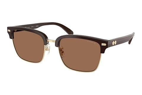 Sonnenbrille Coach CW406 (HC8412 554273)