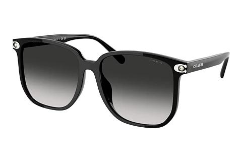 Sonnenbrille Coach CW419 (HC8413BD 50023C)