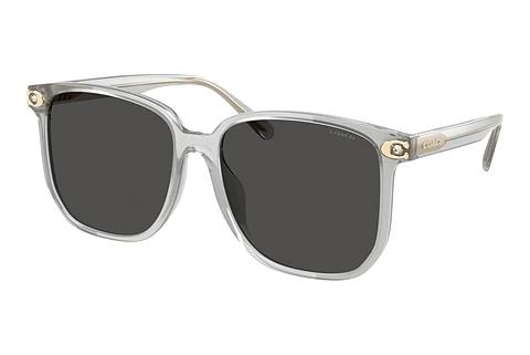 Sonnenbrille Coach CW419 (HC8413BD 561487)
