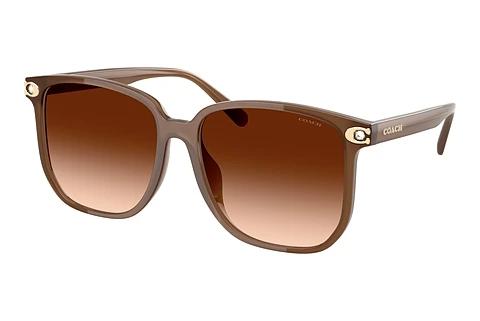 Sonnenbrille Coach CW419 (HC8413BD 580874)