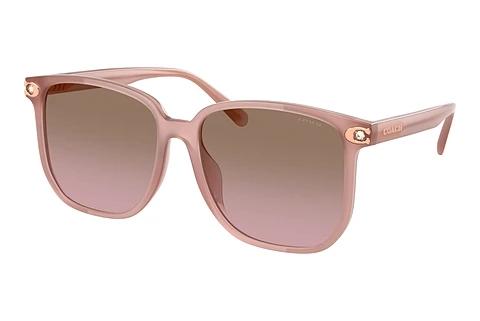 Sonnenbrille Coach CW419 (HC8413BD 583914)