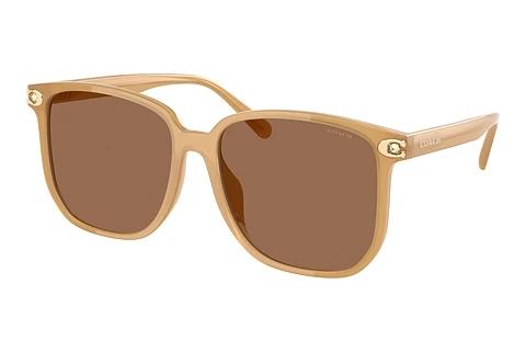 Sonnenbrille Coach CW419 (HC8413BD 585473)