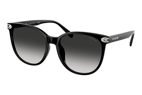 Sonnenbrille Coach CW428 (HC8414BD 50023C)