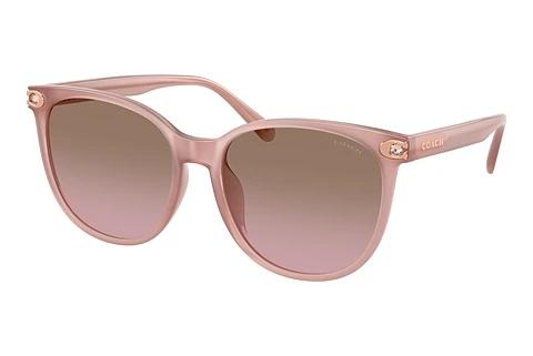 Sonnenbrille Coach CW428 (HC8414BD 583914)