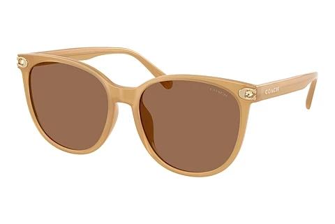 Sonnenbrille Coach CW428 (HC8414BD 585473)