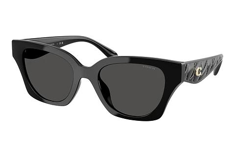 Sonnenbrille Coach CAD18 (HC8418U 500287)