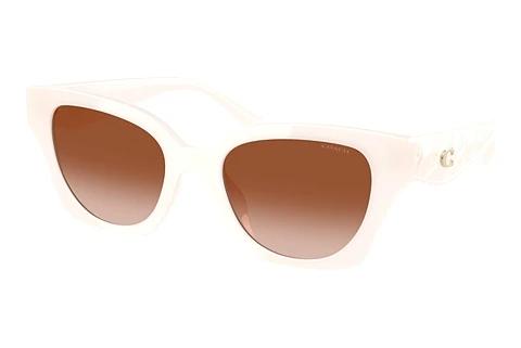 Sonnenbrille Coach CAD18 (HC8418U 580513)