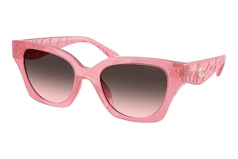 Sonnenbrille Coach CAD18 (HC8418U 589646)