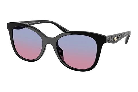 Sonnenbrille Coach CAD25 (HC8419U 500218)