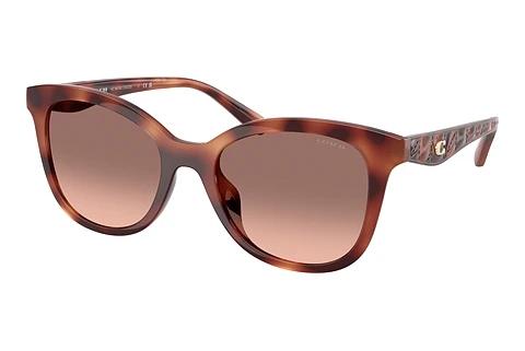 Sonnenbrille Coach CAD25 (HC8419U 577413)