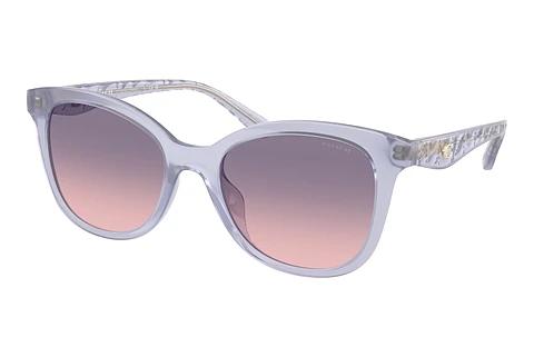 Sonnenbrille Coach CAD25 (HC8419U 5873I6)