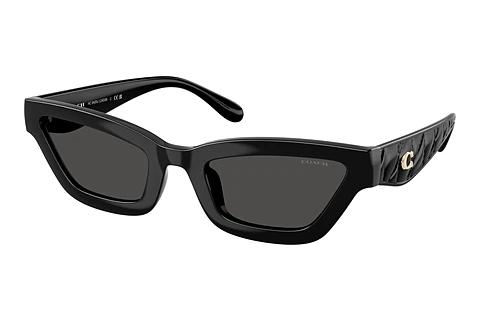 Sonnenbrille Coach CAD28 (HC8420U 500287)