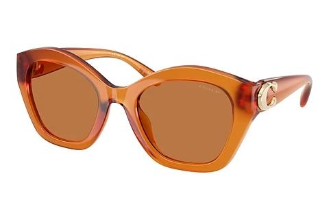 Sonnenbrille Coach CAD31 (HC8421U 564773)