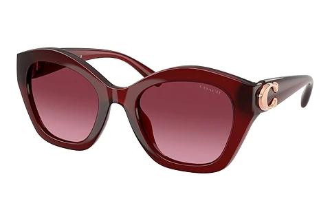 Sonnenbrille Coach CAD31 (HC8421U 58708H)