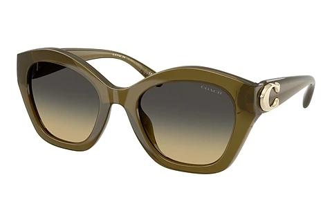 Sonnenbrille Coach CAD31 (HC8421U 5872L0)