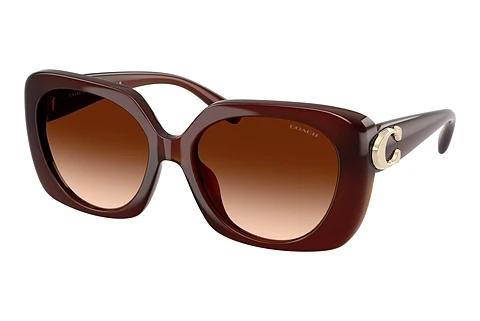 Sonnenbrille Coach CAD33 (HC8422U 584174)