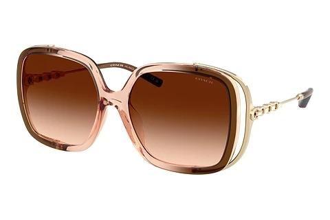 Sonnenbrille Coach CAD80 (HC8423U 576974)