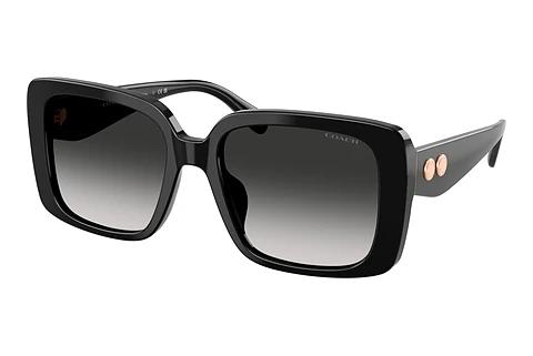 Sonnenbrille Coach CAD54 (HC8424U 50023C)