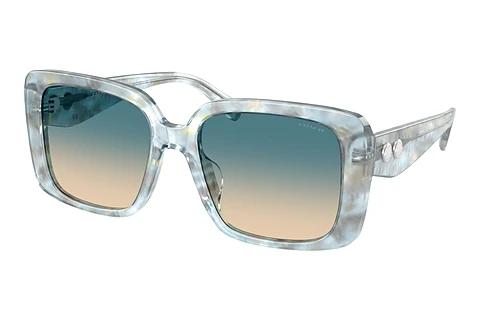 Sonnenbrille Coach CAD54 (HC8424U 58664M)