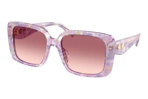 Sonnenbrille Coach CAD54 (HC8424U 58677W)
