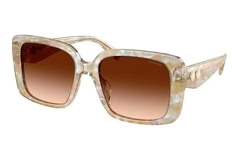 Sonnenbrille Coach CAD54 (HC8424U 586874)