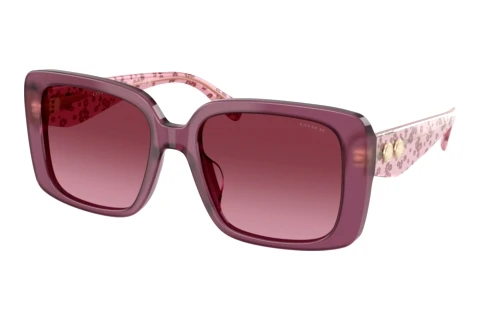 Sonnenbrille Coach CAD54 (HC8424U 59548H)