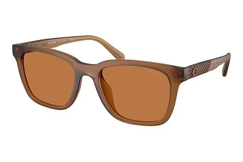 Sonnenbrille Coach CAD81 (HC8426U 587673)