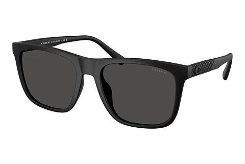 Sonnenbrille Coach CAE78 (HC8427U 500287)